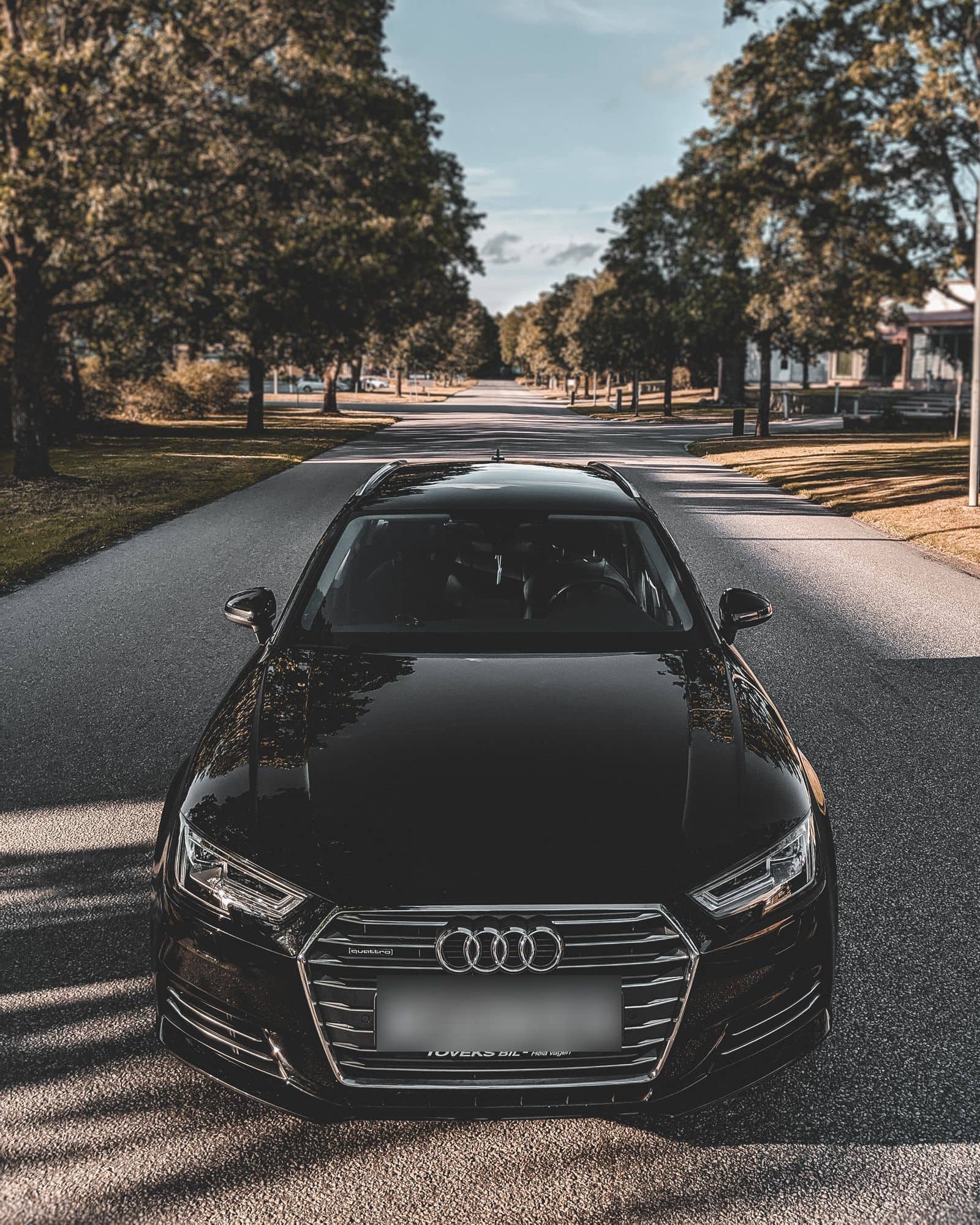 Audi parked on a tree-lined residential street